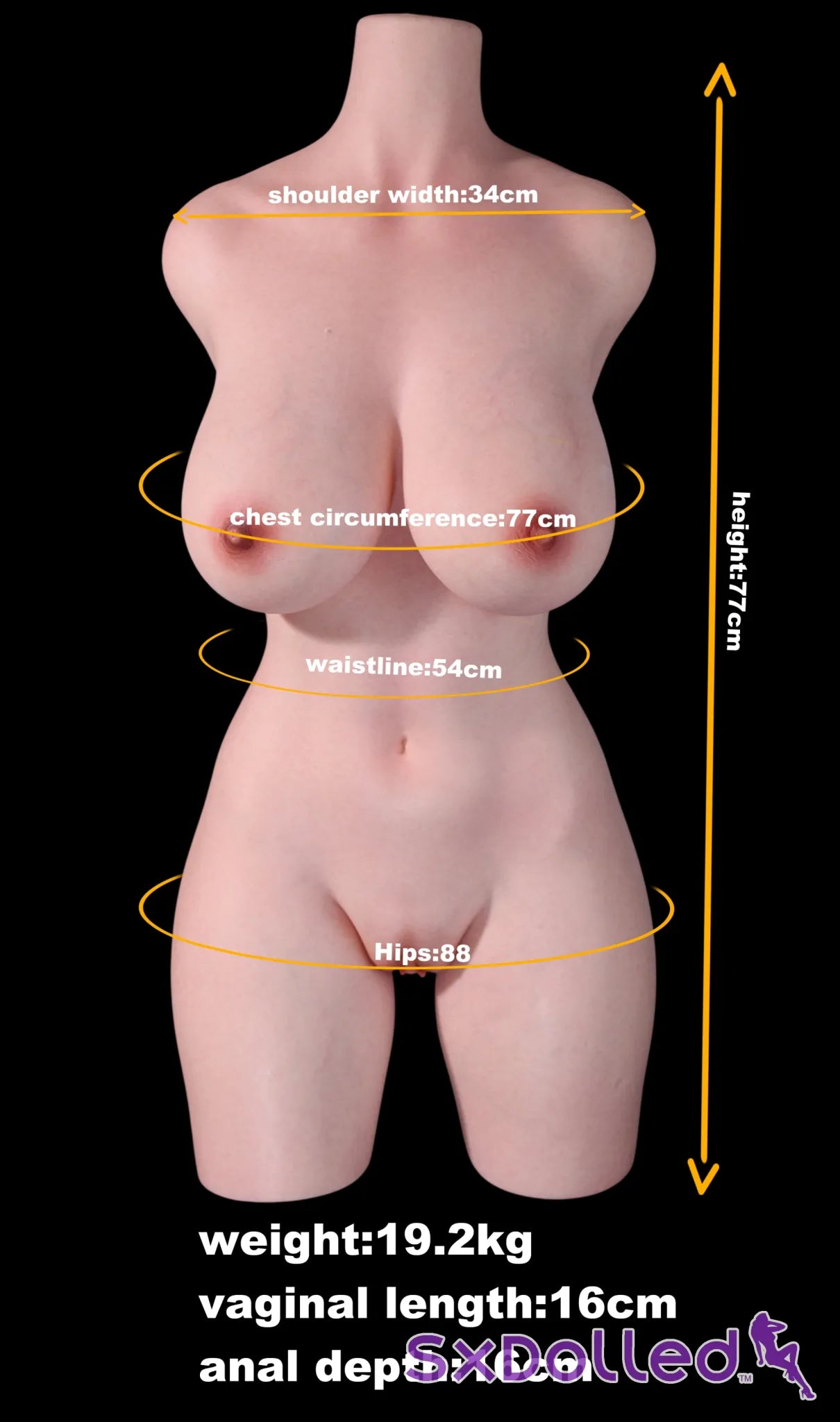 Eileen E (G-Cup) (97cm) | Pretty Caucasian Sex Doll Torso | MD Doll - G-Cup / 97cm / Brunette - Sex Torso